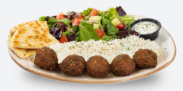 Falafel Plate V2