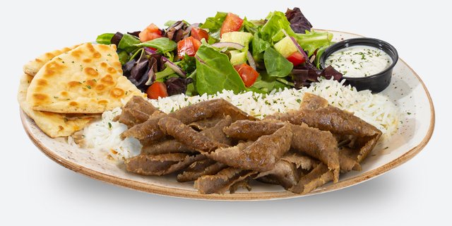 Gyro Plate V2